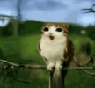 1755274489281.png