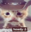 1755363284735.png