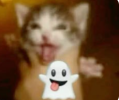 1756302366241.png