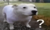 1757796066317.png