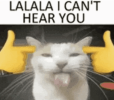 image-381.png