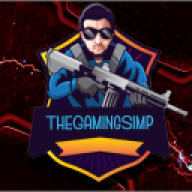 TheGamingSimp