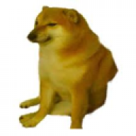 cozyace1