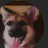 DKGAMERNSDCUTE
