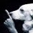 NocturnalEntity